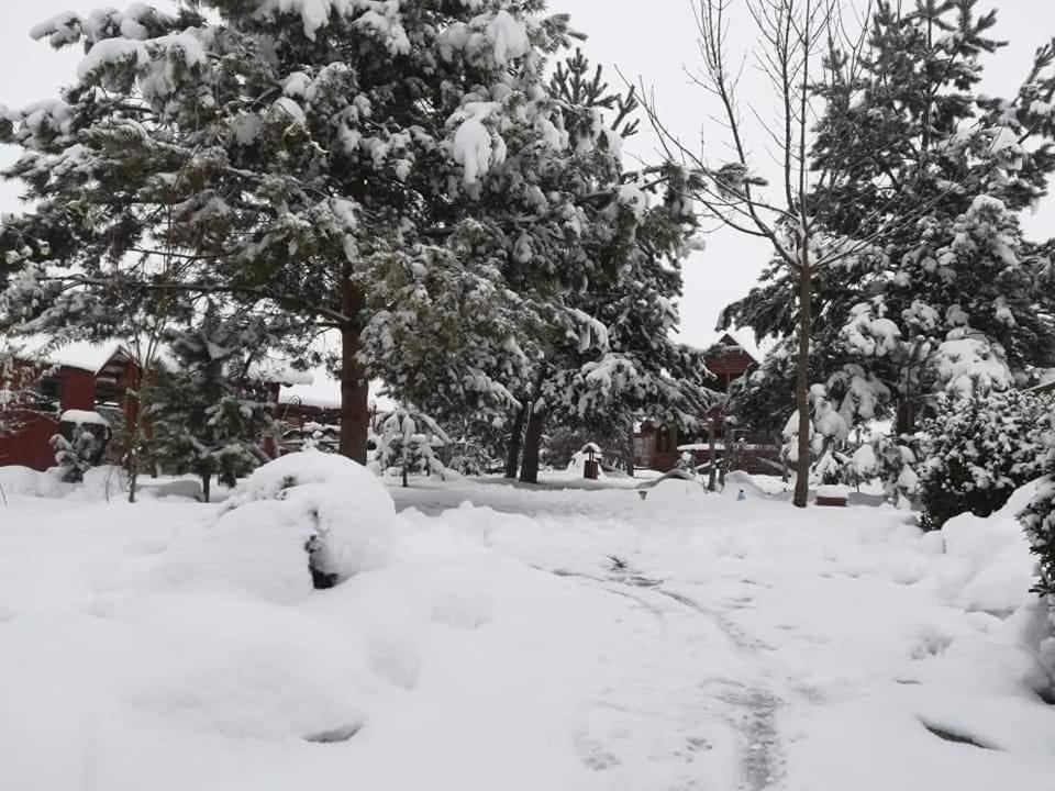 Pensiunea Perla Neamtului Minastirea Neamt Bagian luar foto